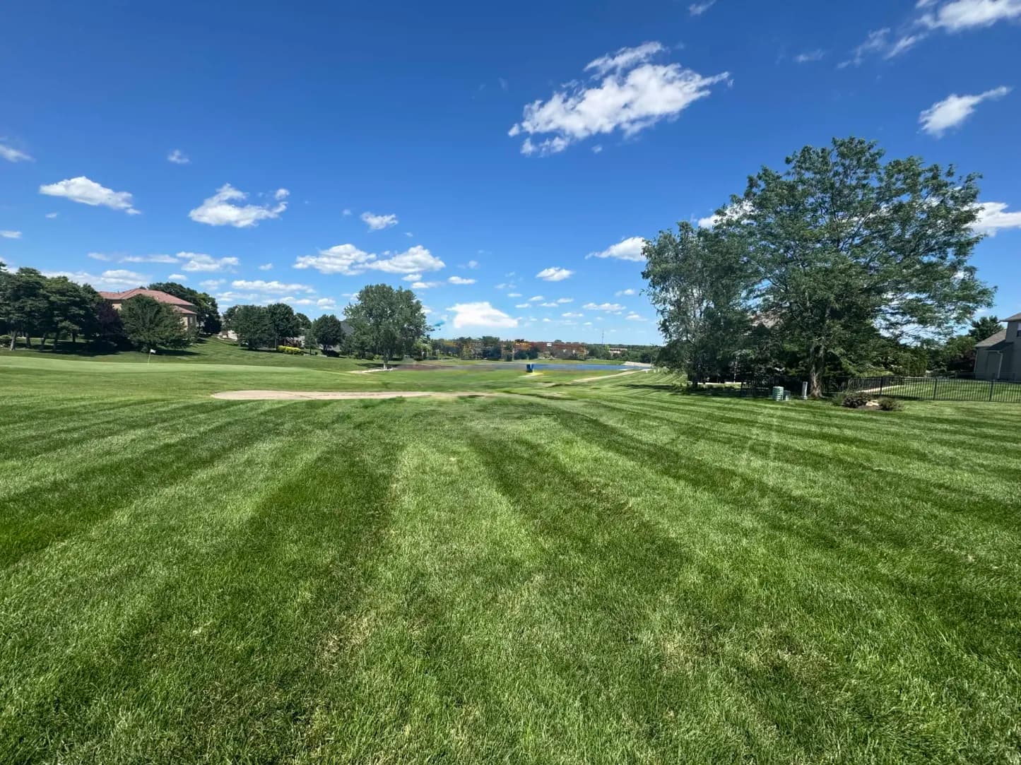 Existing backyard and lawn view before the sample outdoor living concept